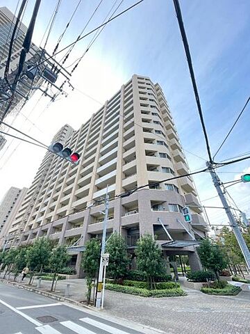 その他 城東中央アインス 15階/-