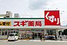 周辺：スギ薬局加美中店まで527m