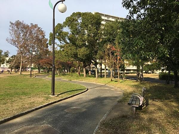 周辺を拡大表示
