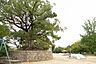 周辺：聖天山公園まで880m