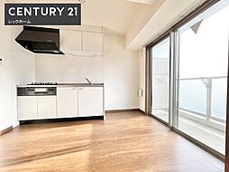 Osaka Metro中央線 高井田駅 徒歩4分の賃貸マンション 4階2DKのリビング/ダイニング