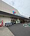 周辺：万代和泉府中店まで390m