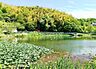 周辺：塩屋台公園まで1154m