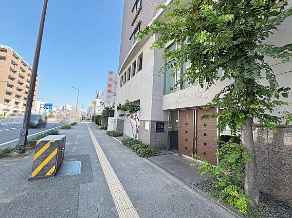 前面道路です。