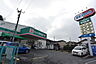 周辺：ドラッグセイムス金子店まで984m