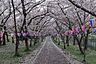 周辺：鴨谷公園まで1300m