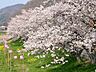 周辺：鈴の宮公園まで1500m
