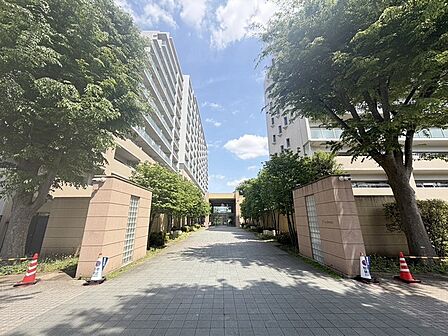 自然に恵まれた豊かな緑と美しいロケーションが特徴です。穏やかな暮らしやリラックスした健康的な生活が送れそう。日々の喧騒から離れ、自然に囲まれた癒しの場所はいかがでしょうか。 