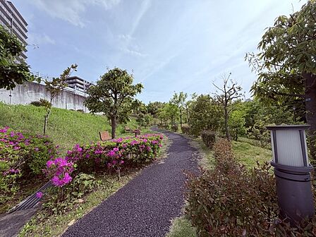 丘のふもとの散歩道。「オーチャードテラス」。常緑樹を植樹し隣接するせせらぎ緑道の潤いを感じさせてくれる。