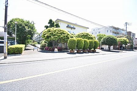 周辺のエリアで他にも沢山売りに出ている物件があります。インターネット掲載前の情報などもありますのでお気軽にお問合せください。まとめてご見学できます。