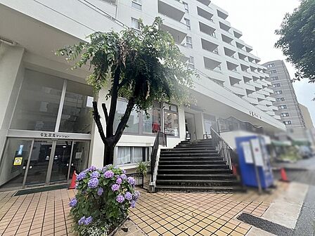 現地のご見学予約もスタートしました。