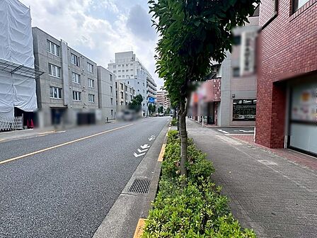 街路樹が整備された歩道が続き、都市の利便性と落ち着いた住環境が共存するエリアです。