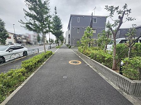 緑豊かな街路樹が整備された歩道は、毎日の通勤や通学の時間を心地よいものにしてくれます。