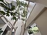その他：見上げる空へと伸びる樹木が、建物全体に開放感と穏やかな表情を与えています。