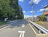 その他：【南側8.0ｍ道路】陽光の照らす南面道路には程よい緑も生い茂るゆとりある道路がまっすぐと伸びています。お気軽にお問い合わせください。