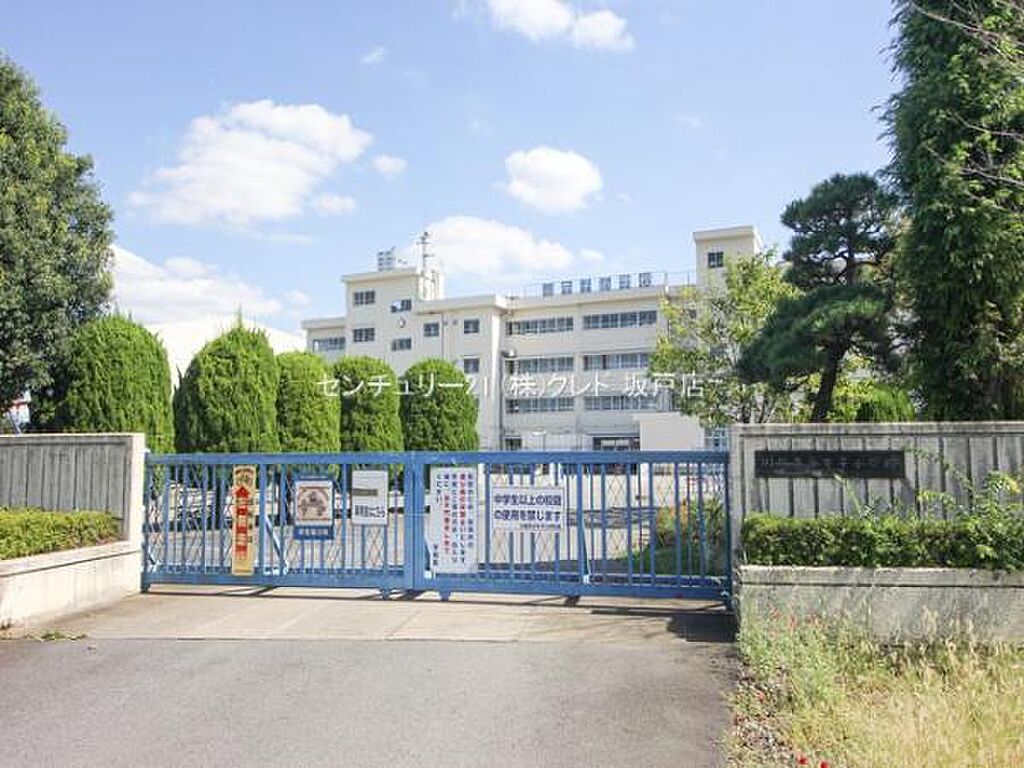 Image 65
