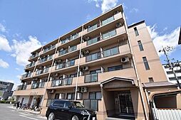 ＡＰＥＸ　ＦＬＡＴ