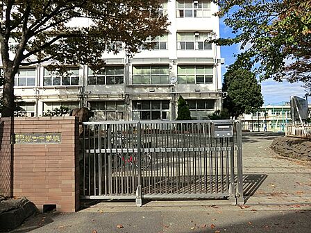 横浜市立樽町中学校まで約1500m