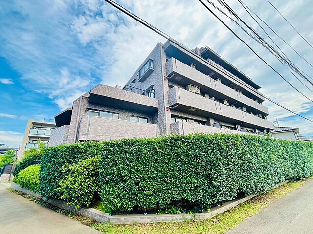 その他 ライオンズガーデン相模大野 1階/-