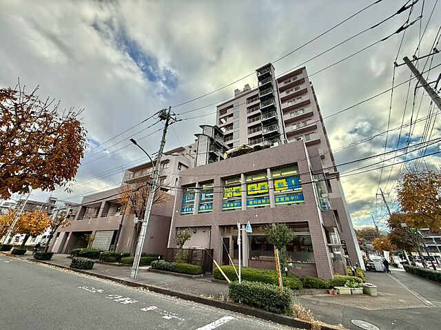 外観 パストラルハイム稲城 11階/-