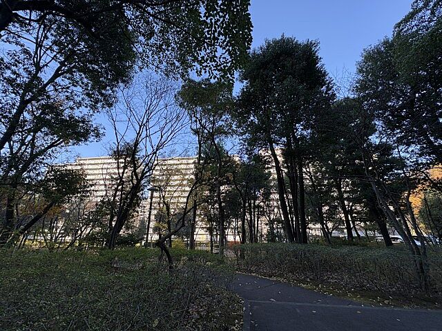 その他 シーアイハイツ町田B棟 5階/-