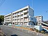 周辺：厚木市立玉川中学校　距離約1100m