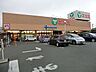 周辺：エコス　東浅川店　距離約1100m
