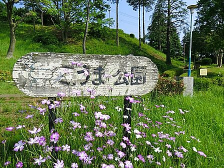 南つくし野こうま公園 距離約180m