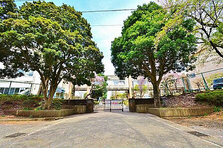 相模原市立上溝中学校 距離約600m
