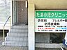 周辺：たま小児クリニック　距離約500m