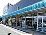 周辺：ロイヤルホームセンター　伊勢原店まで約600m