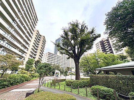 緑地と遊歩道のある集合住宅周辺