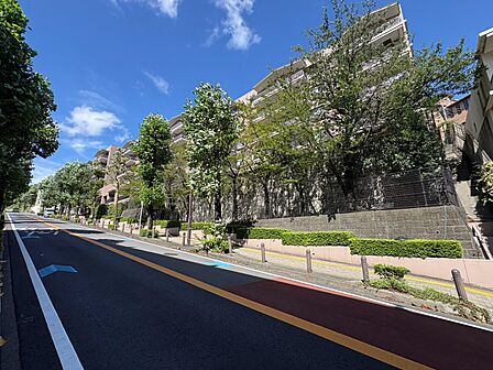 並木と歩道のある前面道路