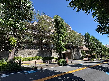 緑に囲まれた建物外観と前面道路