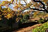 周辺：薬師池公園　距離約2000m