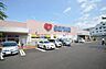 周辺：スーパー三和　忠生店　距離約350m