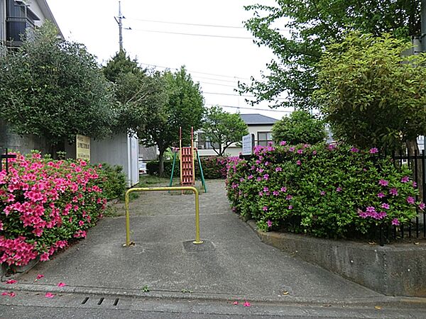 周辺を拡大表示