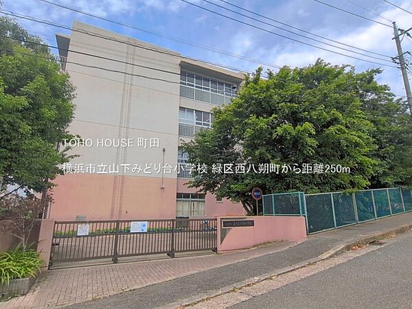 周辺を拡大表示