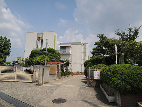 松原市立松原小...