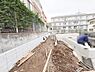 その他：2026年10月5日撮影