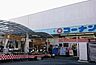 周辺：ホームセンターコーナン西陣上七軒店まで911m