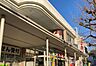 周辺：スギ薬局常盤店まで713m