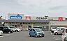 周辺：ウエルシア沼津新沢田店まで470m