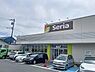 周辺：セリア　エンブルタウン函南店まで1702m