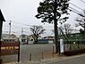 周辺：中村公園まで1271m