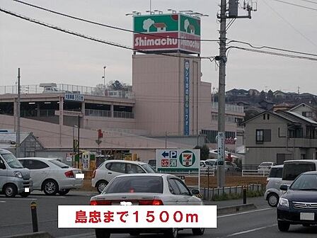 島忠海老名店まで1573m