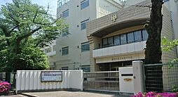 ライオンズマンション上馬