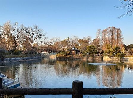 碑文谷公園まで258m