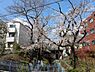 その他：玉川上水緑道に隣接しており春には桜を楽しめる自然豊かな住環境！