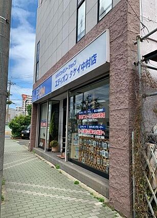 エディオンタケ...